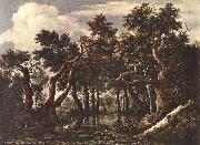 Jacob van Ruisdael The Marsh in a Forest Spain oil painting artist